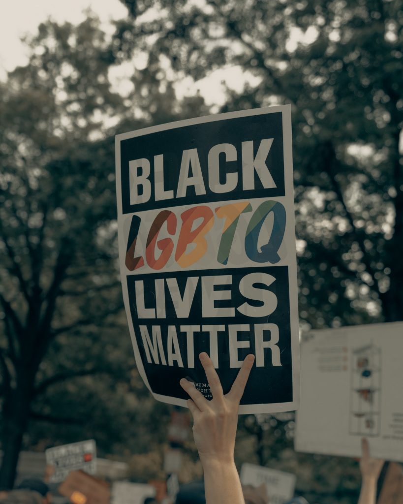 Black LGBTQ Lives Matter Protest Sign