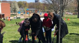 Saint Rose President Marcia White plants trees with students from TOAST and City School District of Albany Superintendent Kaweeda G. Adams