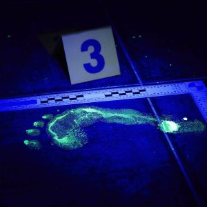 crime scene being processed and analyzed by a forensic scientist to gather evidence from illuminated foot print