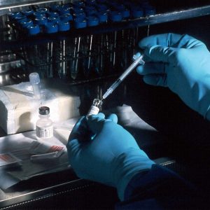 forensic genealogist working in a laboratory testing DNA samples to assist law enforcement