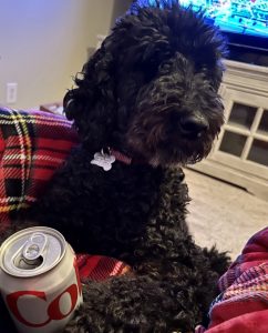 Rebeccah Wilson's dog holding a coke